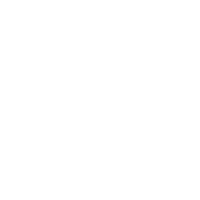 Dicastal logo